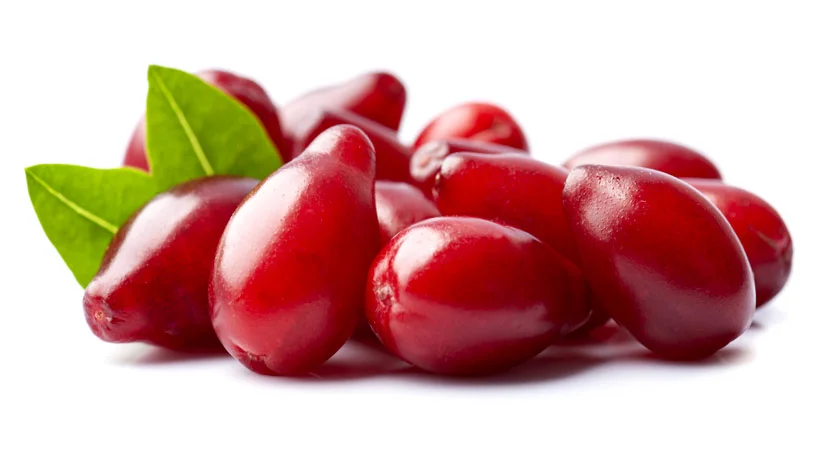 خواص زغال اخته