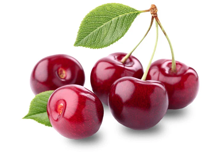 آموزش نگهداری از گیلاس