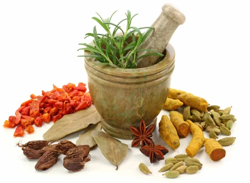 گیاهان دارویی