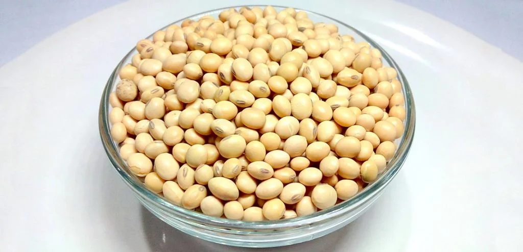 سویا