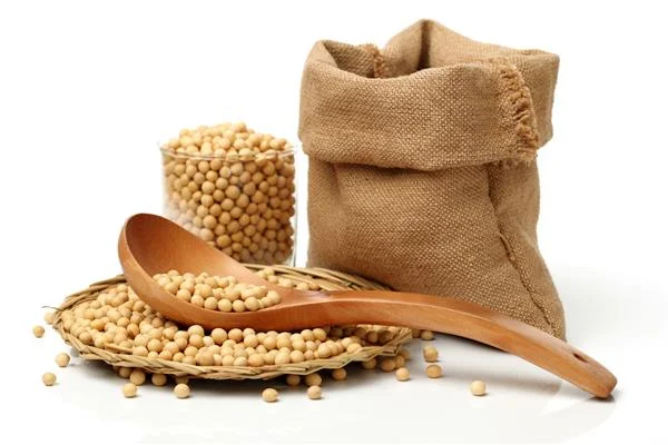 سویا خشک