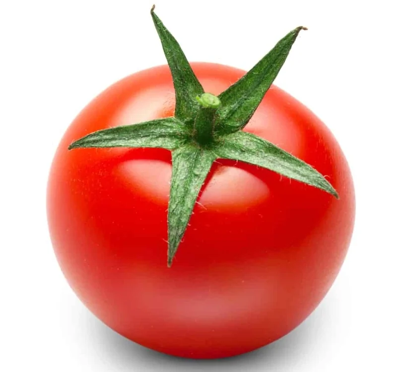 گوجه فرنگی