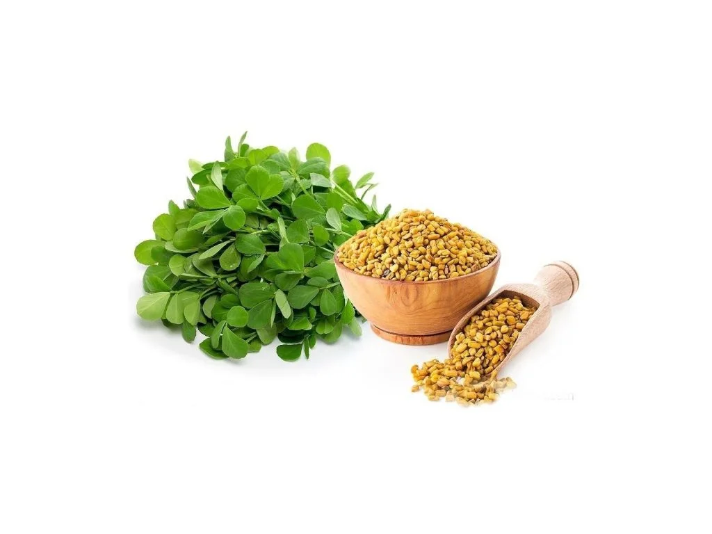 شنبلیله