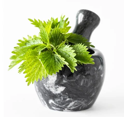 گزنه