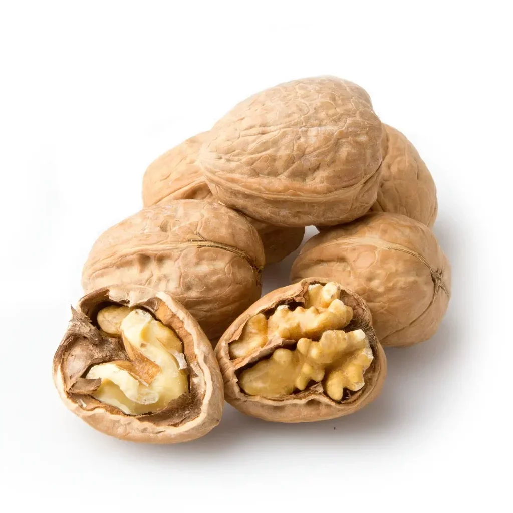گردو