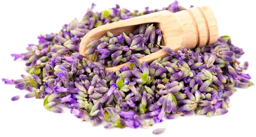 اسطوخدوس