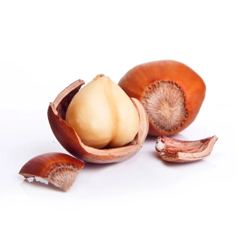طبع فندق