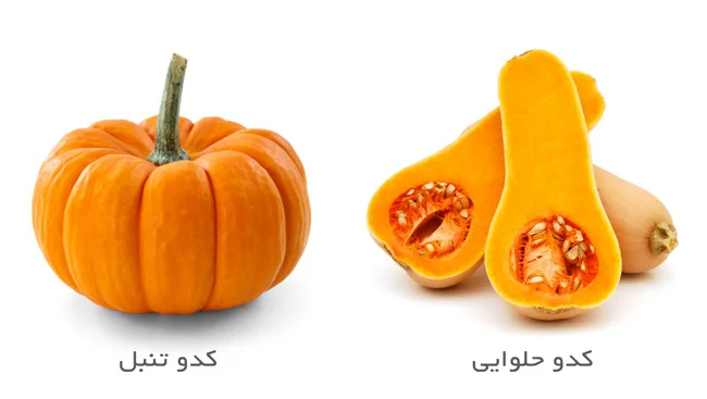 عکس کدو حلوایی و کدو تنبل