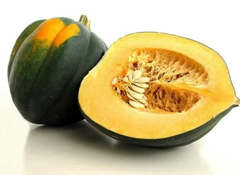 کدو بلوطی