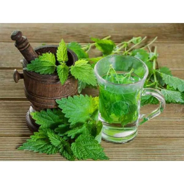 عرق نعنا 