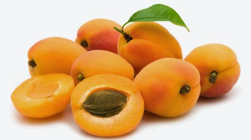 فواید زردآلو