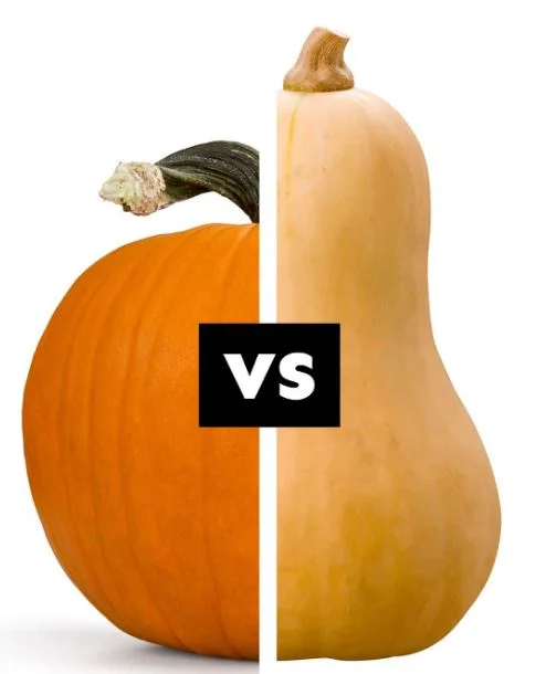 فرق کدو تنبل و کدو حلوایی