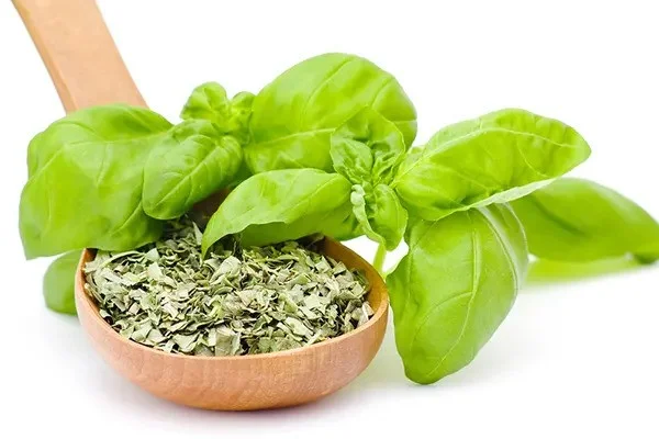 مصرف ریحان خشک شده