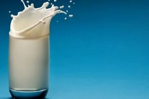 شیر گرم بهتر است بخوریم یا شیر سرد؟ 