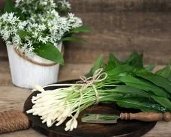 والک یا سیر کوهی؛ ملکه سبزی های بهاری + خواص 