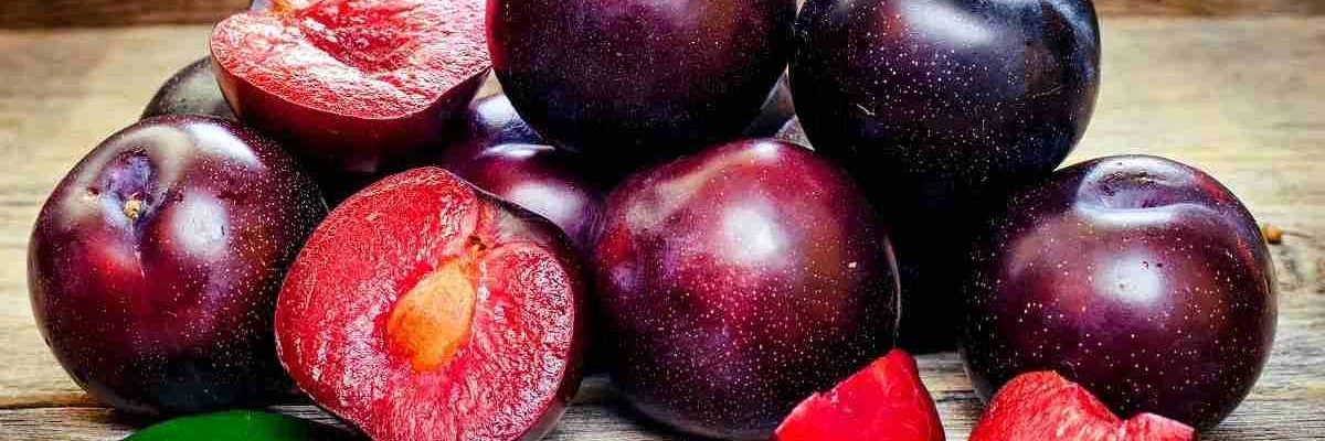 آلوچه قرمز؛ خواص، مضرات، طبع، ارزش غذایی و نکات مصرف