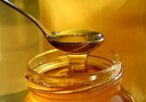 با عسل ترنجبین آشنا شو تا بتونی کلی از بیماری ها رو درمان کنی + نحوه مصرف