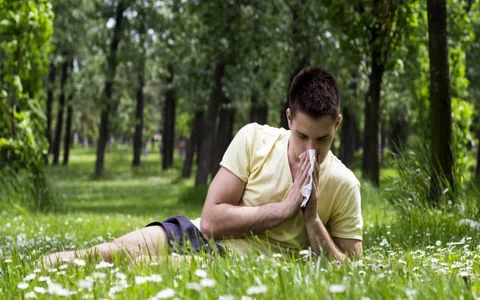 درمان آلرژی فصلی با شیوه های ساده و موثر خانگی + راهکارهای پیشگیری 