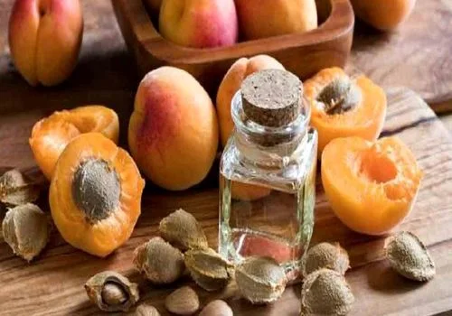 روغن هسته زردآلو؛ شگفتانه طبیعی برای داشتن بدن سالم