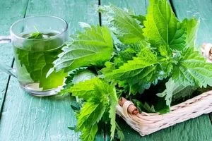 این اسانس گیاهی در کوتاه ترین زمان زخم های پوستی را درمان می کند