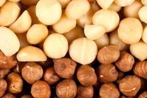 تفاوت فندق و ماکادمیا در خواص و موارد مصرف + تصاویر