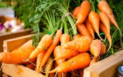 فواید مصرف هویج قبل از خواب | بهترین زمان مصرف هویج برای افزایش کیفیت خواب