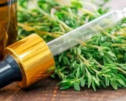 همه چیز درباره خواص بی نظیر روغن آویشن + طریقه مصرف