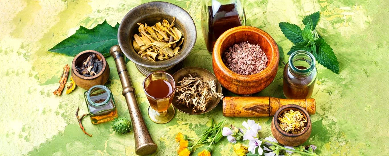 تاریخچه گیاه‌ درمانی | قدمت استفاده از گیاهان دارویی در طب سنتی