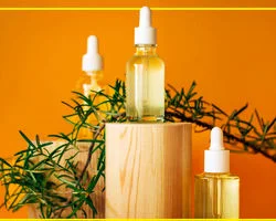 روغن رزماری؛ بهترین روغن همه فن حریف برای مشکلات پوستی + نحوه مصرف