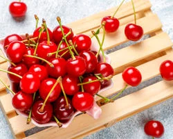 همه چیز در مورد آلبالو؛ خواص، کالری، طبع و ارزش غذایی آن