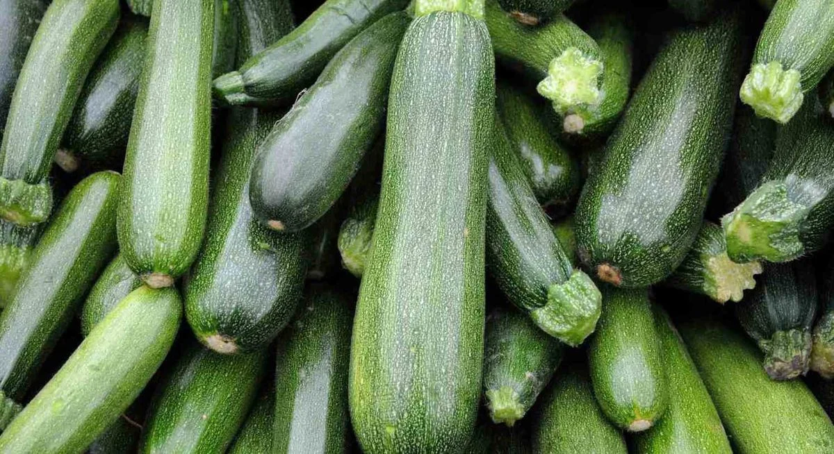 کدو سبز برای کبد چرب