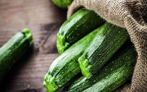 آشنایی با انواع کدو و موارد مصرف آن ها + عکس