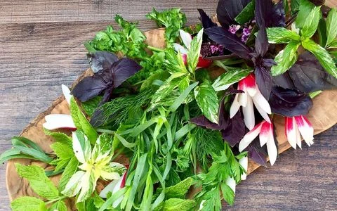 موثرترین شیوه های نگهداری سبزی خوردن برای طولانی مدت 