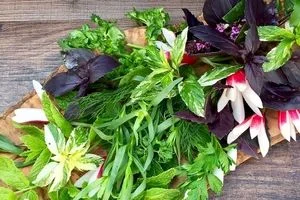 موثرترین شیوه های نگهداری سبزی خوردن برای طولانی مدت 