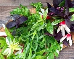 موثرترین شیوه های نگهداری سبزی خوردن برای طولانی مدت 