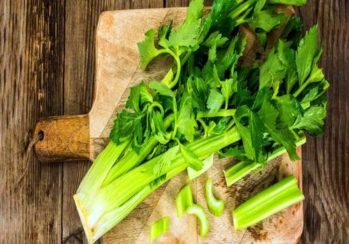 آشنایی با خواص معجزه آسای کرفس برای سلامت بدن + طبع
