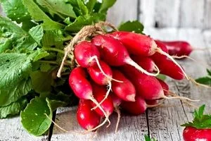 همه چیز درباره ترب و خواص آن در طب سنتی + طبع و ارزش غذایی