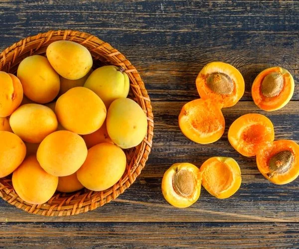همه چیز درباره زردآلو؛ خواص، مضرات، طبع و ارزش غذایی آن 
