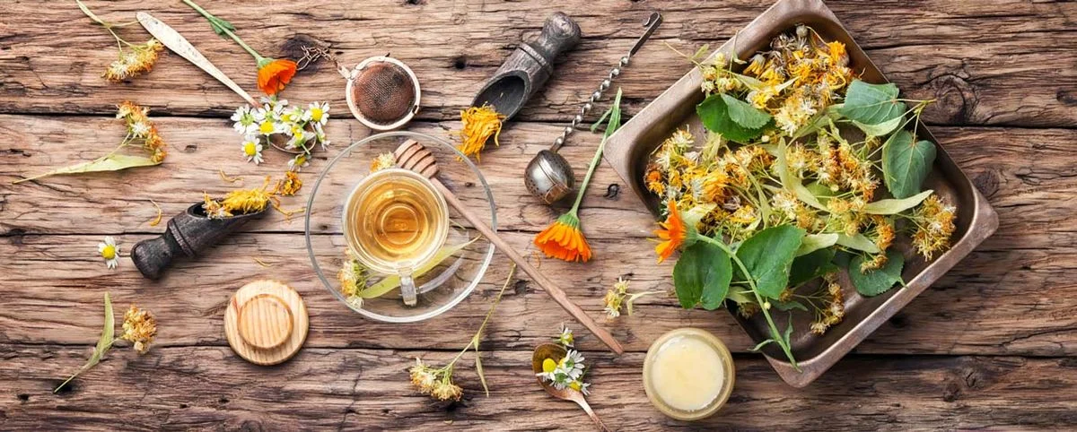 تاریخچه گیاهان دارویی
