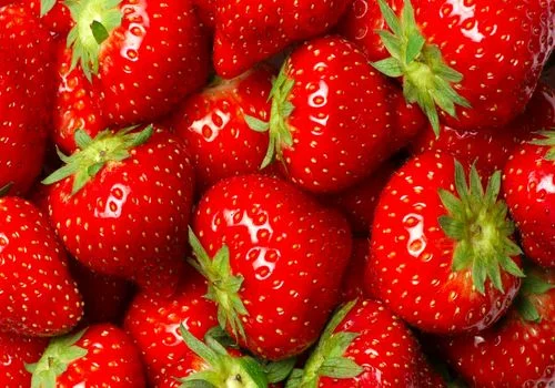 فواید توت فرنگی برای مردان | تاثیر مصرف توت فرنگی برای پسر دار شدن