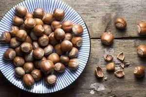 همه چیز درباره فندق و خواص آن + طبع و ارزش غذایی