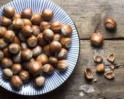 همه چیز درباره فندق و خواص آن + طبع و ارزش غذایی