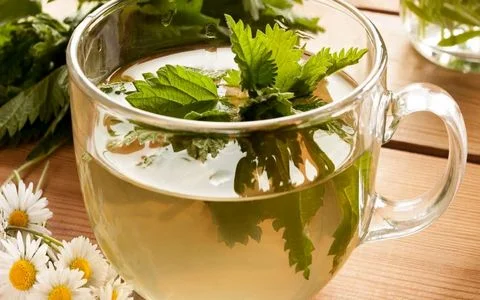 همه خواص دمنوش گزنه + طرز تهیه 