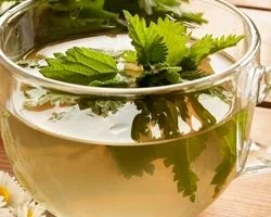همه خواص دمنوش گزنه + طرز تهیه 