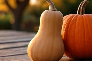 فرق کدو حلوایی و کدو تنبل چیست؟ + جدول و عکس