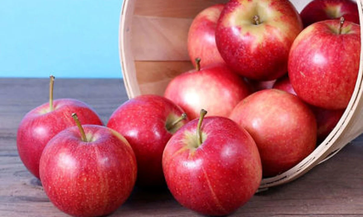 درمان کم خونی با یه دونه سیب و چندتا میخ!! + ویدیو