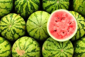 همه چیز درباره خواص هندوانه در طب سنتی + طبع و طریقه مصرف